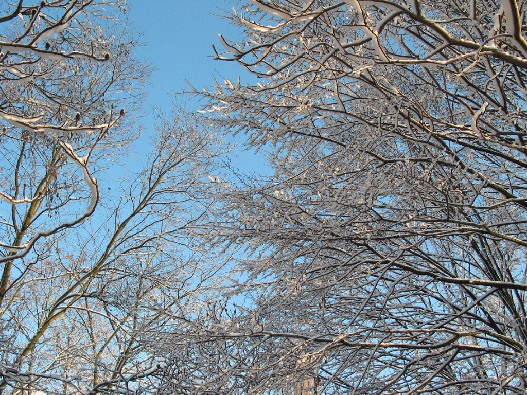 2003-hiver-parc-OK (11)