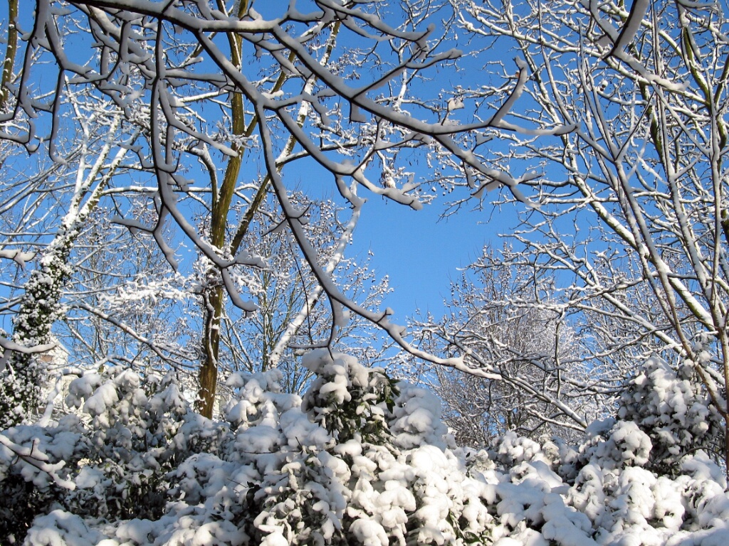 2003-hiver-parc-OK (19)