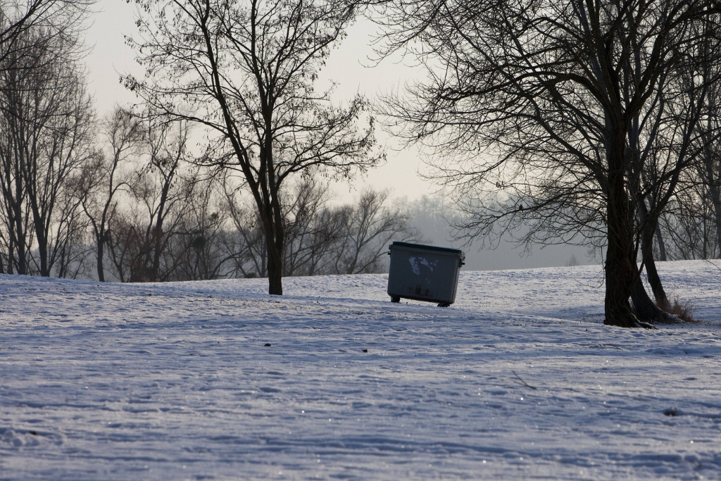 2009-01-neige-OK (19)