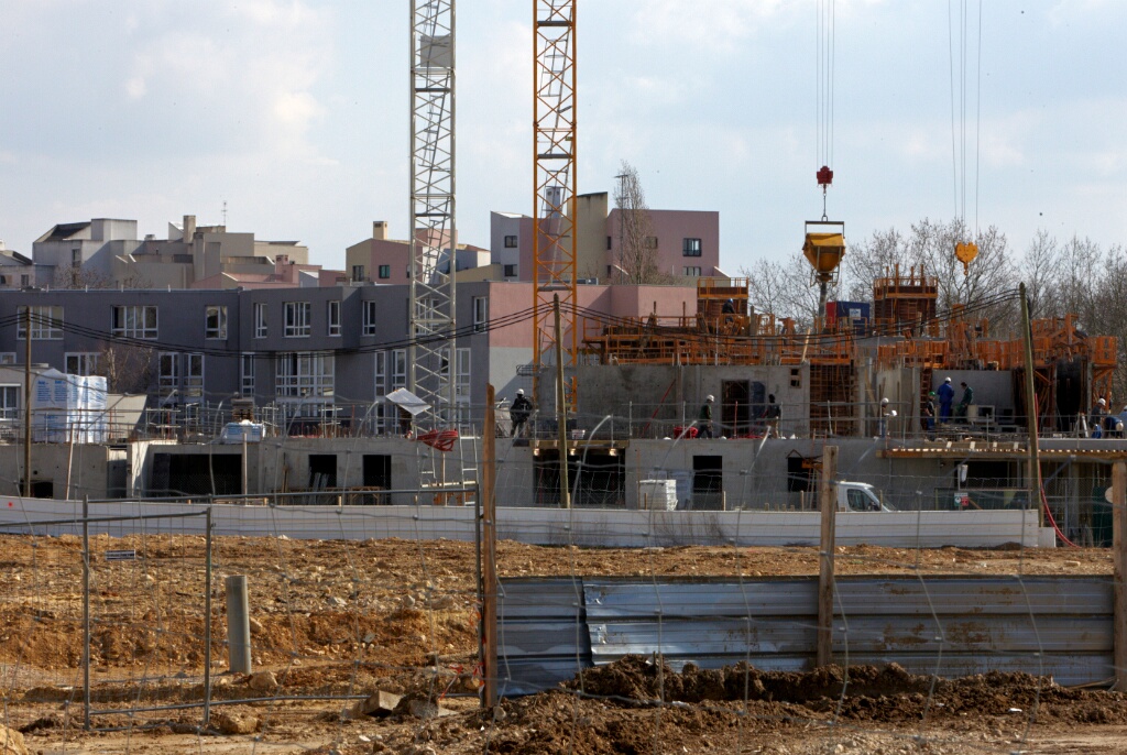 2010-03-croixpetit-OK (11)