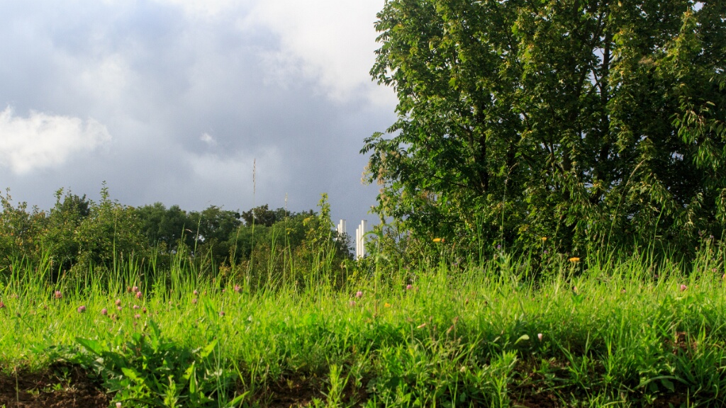 2014-08-26-173807-base