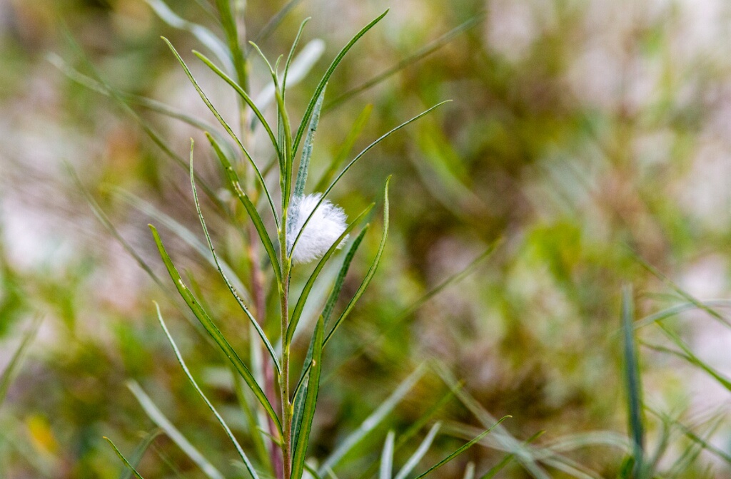 2014-09-09-140134-parc-OK