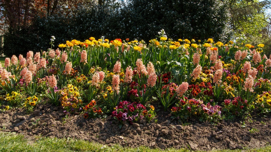 2013-04-25-151336-ville-fleurs-OK