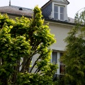 2011-05-03-110934-pissaro36-OK