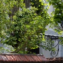 2011-05-03-111026-pissaro36-OK