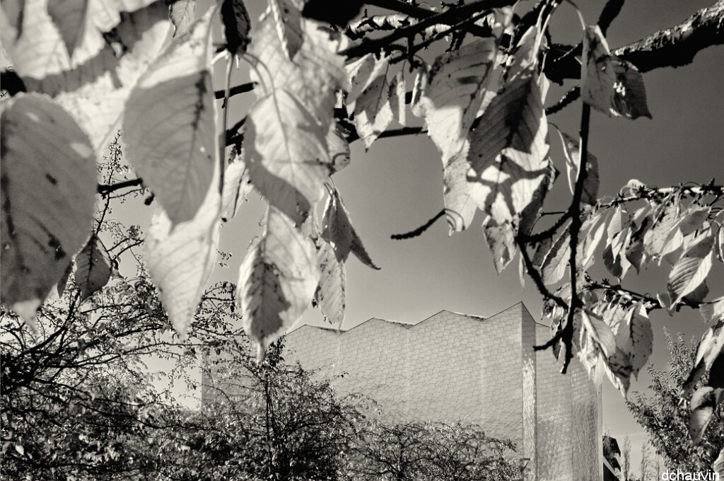 2011-10-31-120036-t95-nb-OK