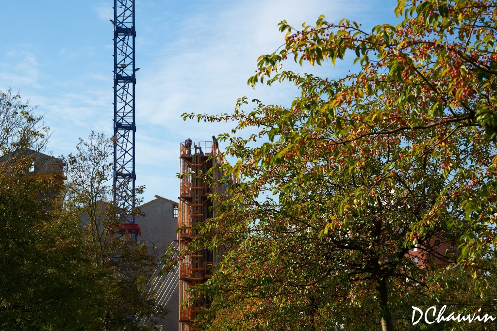 2010-10-18-104228