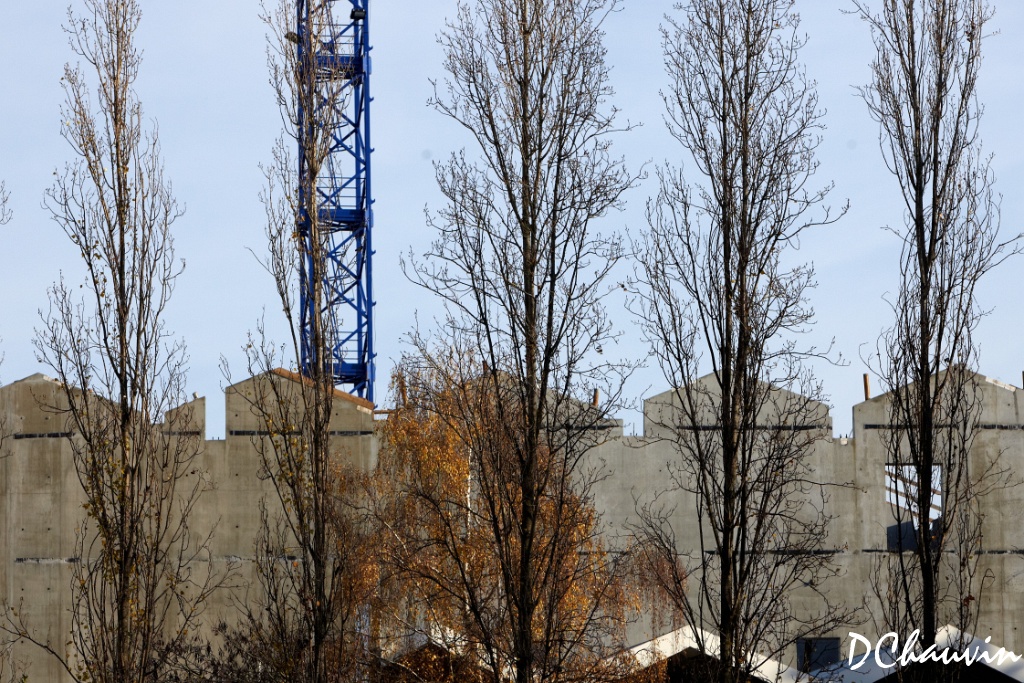 2010-11-24-112924 (1)