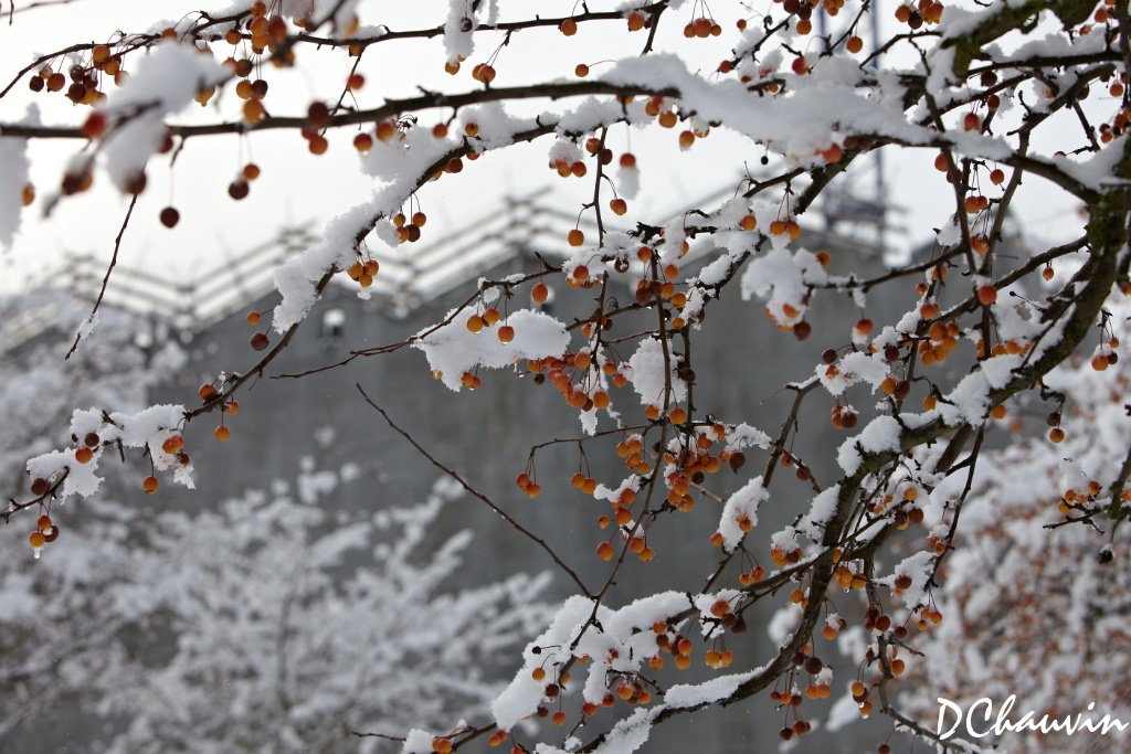 2010-12-20-115936-t95-OK