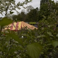 2010-05-03-p2c-OK (48)