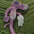 2010-05-04-p2c-orig (12)