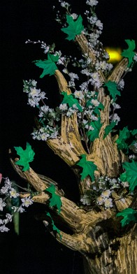 2018-12-03-170741-tstock-4saisons